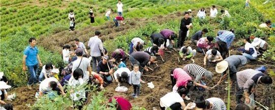 浙江一小山村现淘宝潮，数千老小聚集挖红宝石